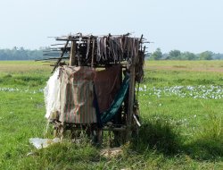 Toiletten